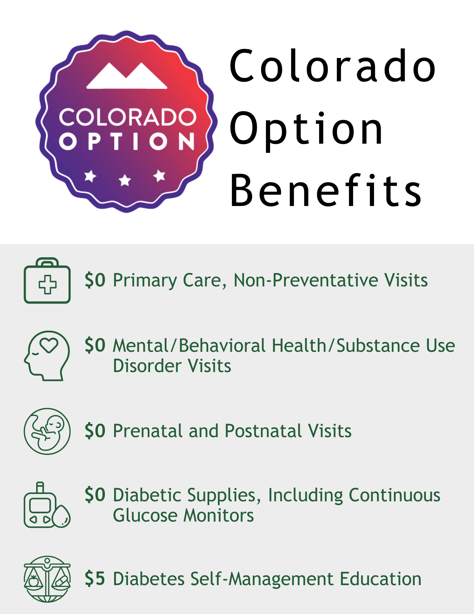 Colorado Option Services